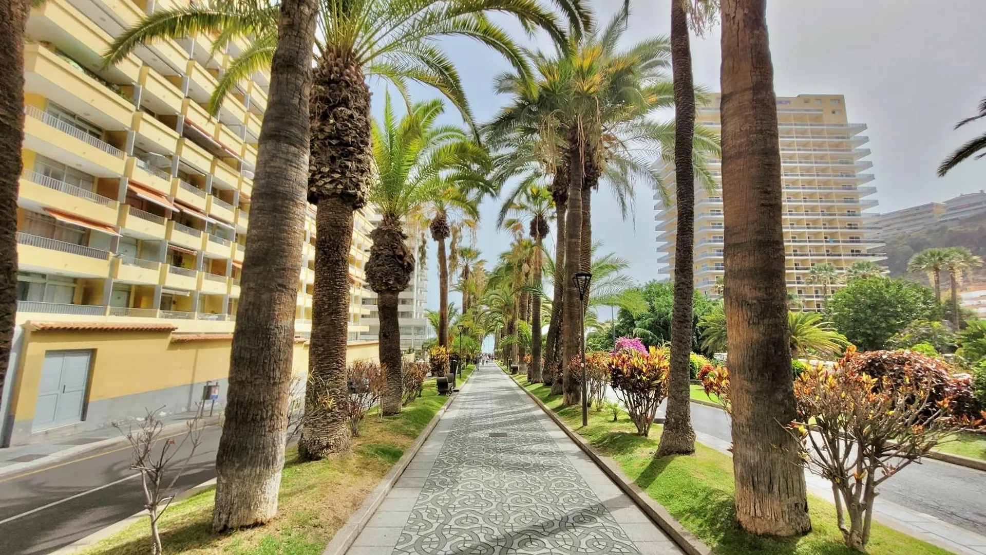 Alta Beachside Apartments Puerto de la Cruz   Puerto de la Cruz (Tenerife)